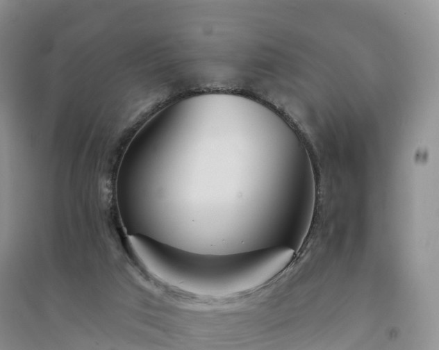 X0000094330017200711091416