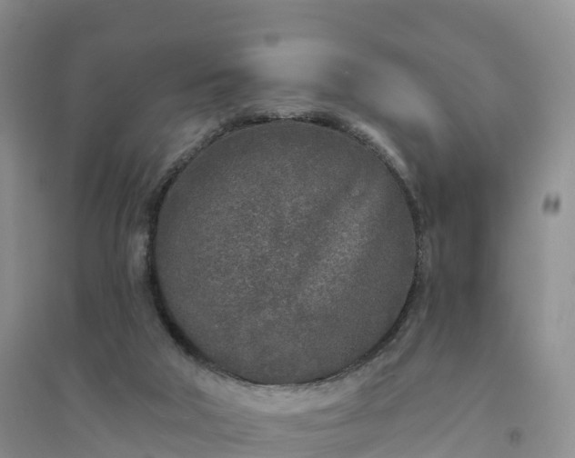 X0000094330018200711091416
