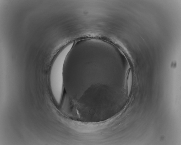 X0000094330019200711091416