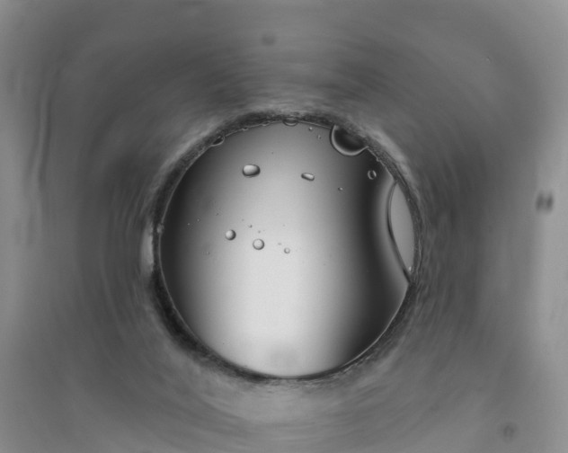X0000094330020200711091416