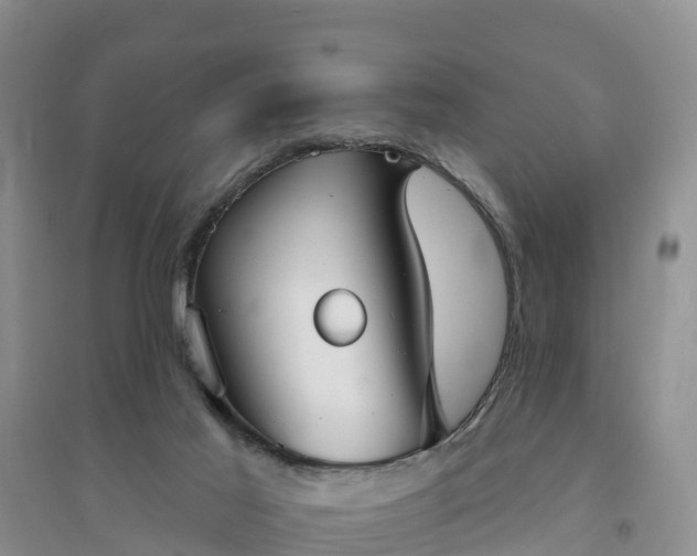 X0000094330021200711091416