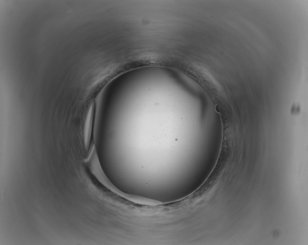 X0000094330024200711091416