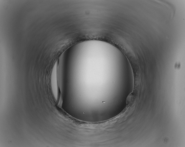 X0000094330025200711091416