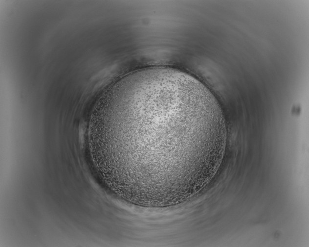 X0000094330026200711091416