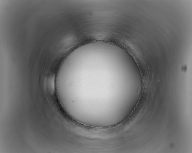 X0000094330028200711091416