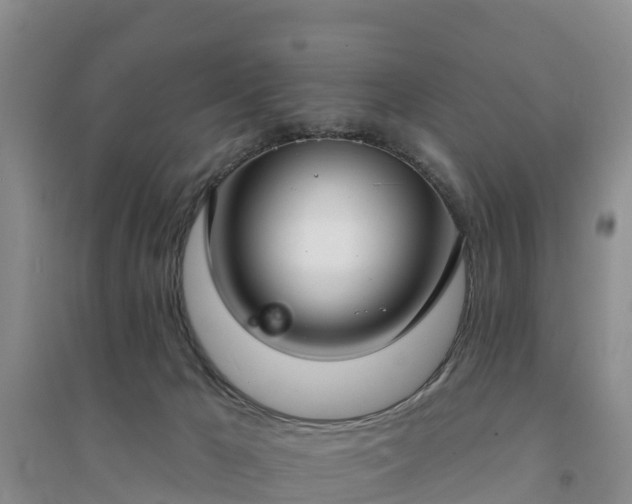 X0000094330029200711091416