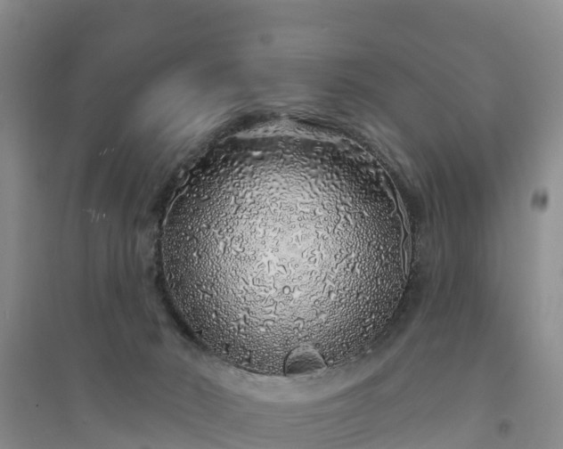 X0000094330030200711091416