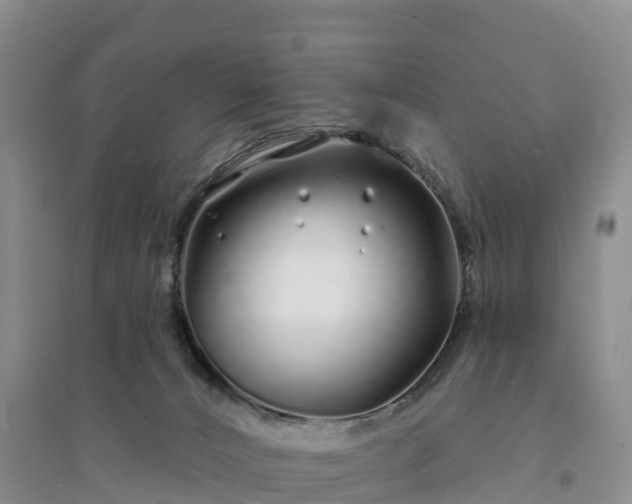X0000094330032200711091416