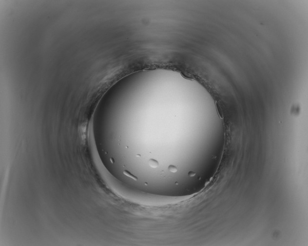 X0000094330033200711091416