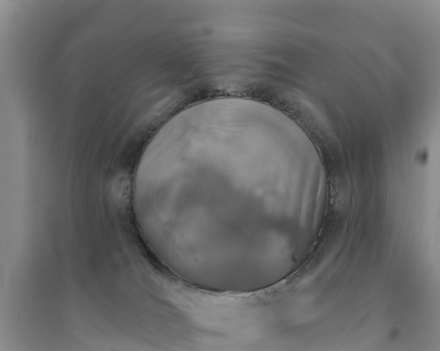 X0000094330036200711091416