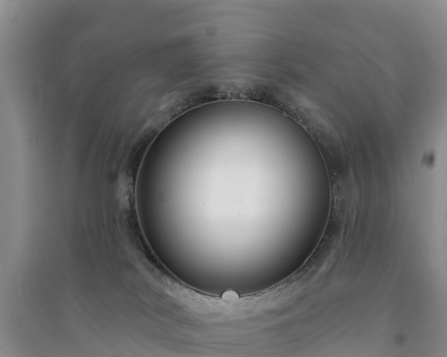 X0000094330038200711091416