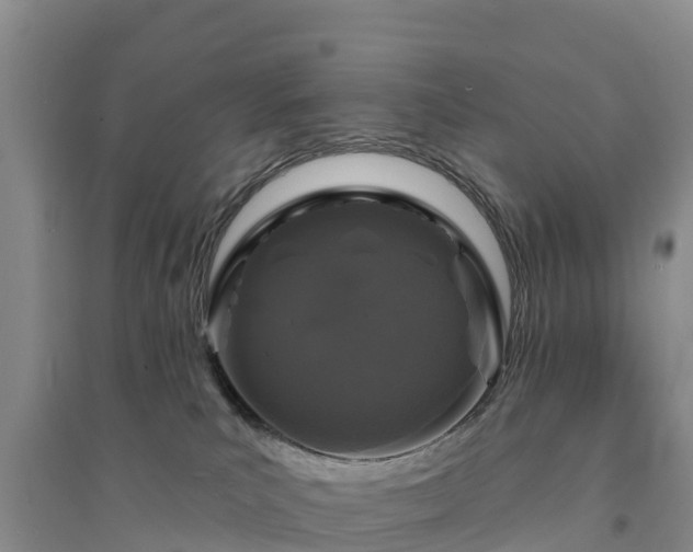 X0000094330039200711091416