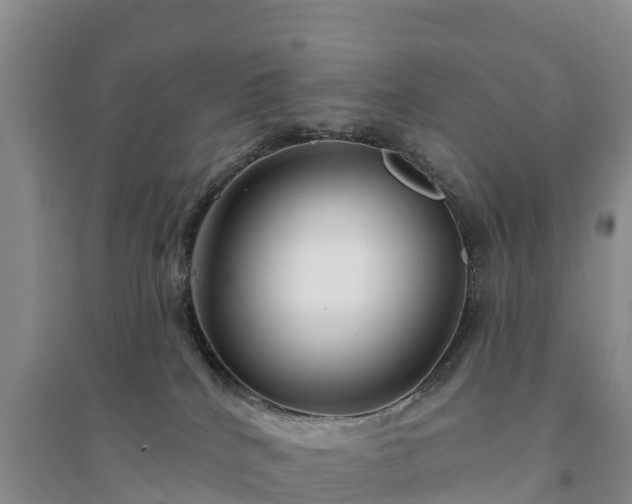 X0000094330040200711091416