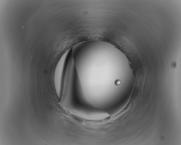 X0000094330041200711091416