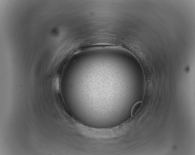 X0000094330042200711091416