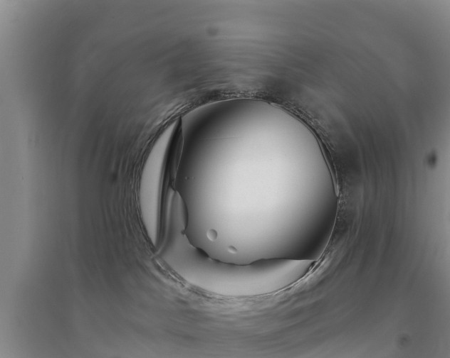 X0000094330045200711091416