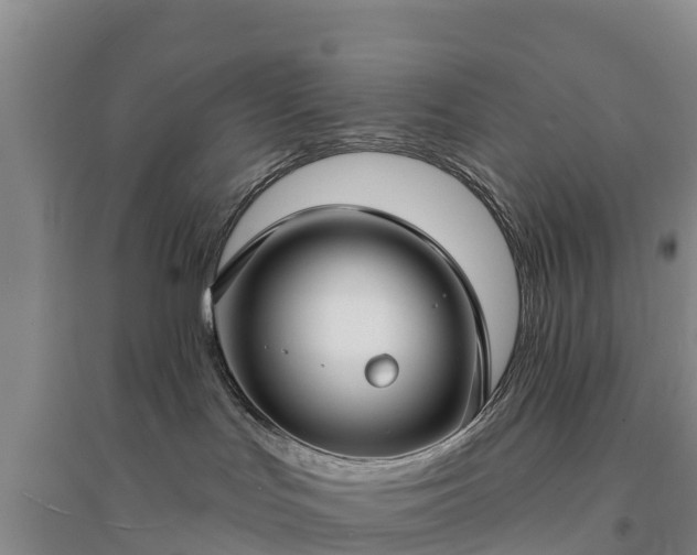 X0000094330047200711091416