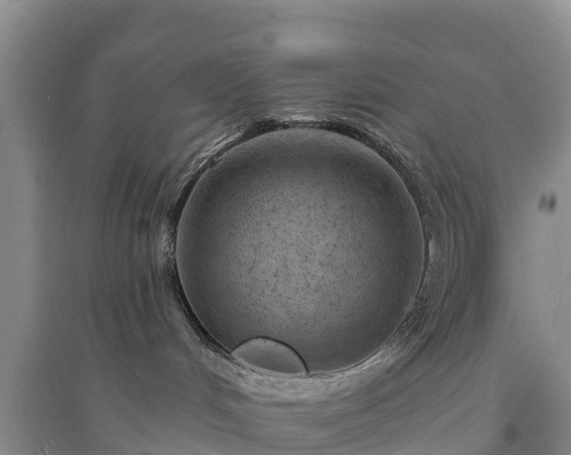 X0000094330048200711091416