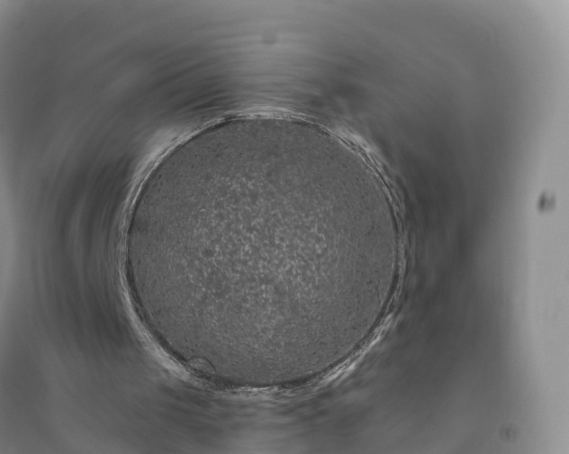 X0000094330049200711091415