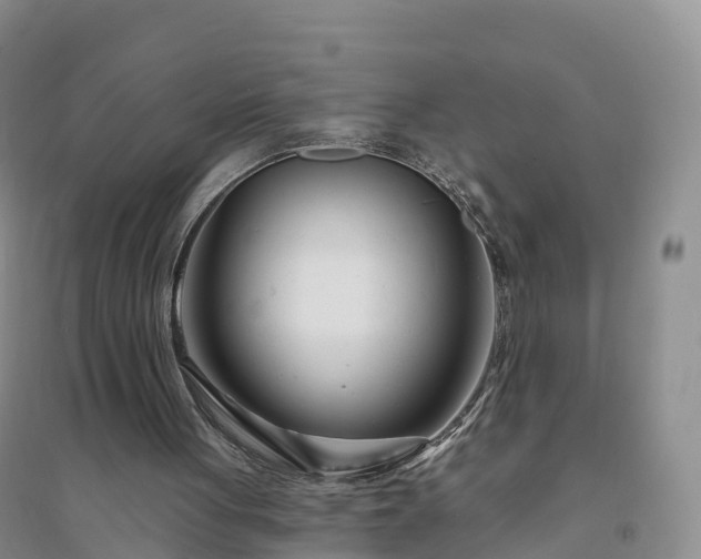 X0000094330051200711091415