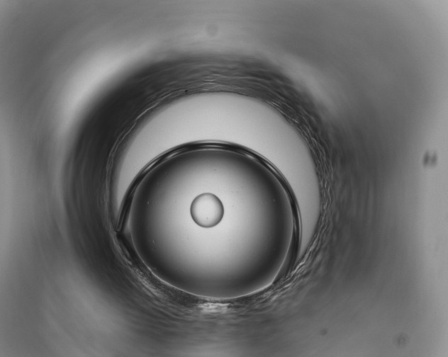 X0000094330052200711091415