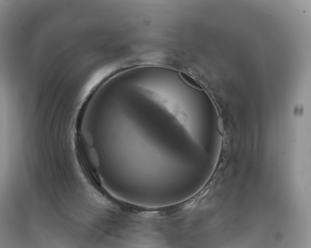 X0000094330054200711091415