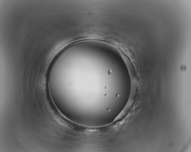 X0000094330055200711091415