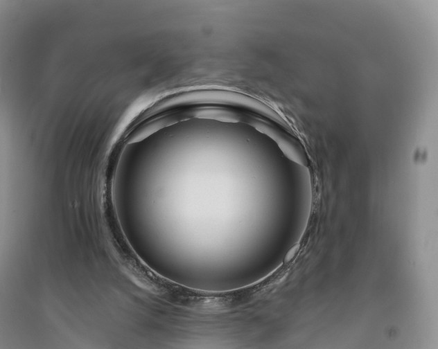 X0000094330056200711091415