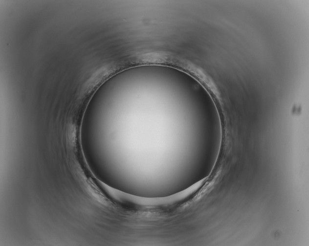 X0000094330057200711091415
