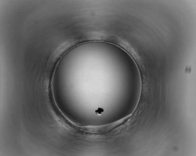 X0000094330058200711091415