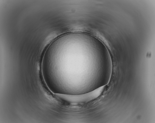 X0000094330059200711091415