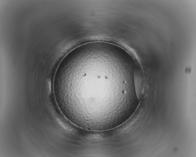 X0000094330061200711091415