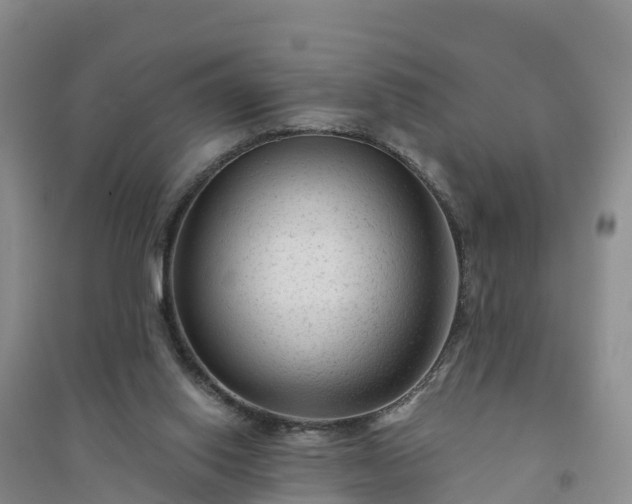 X0000094330062200711091415