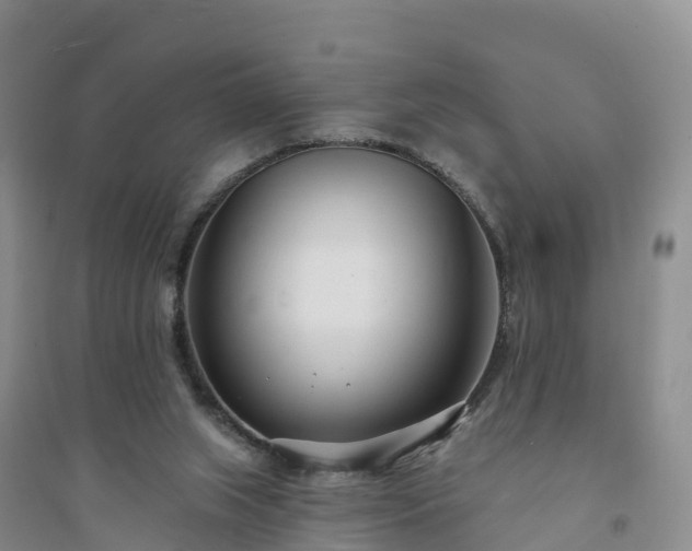 X0000094330063200711091415
