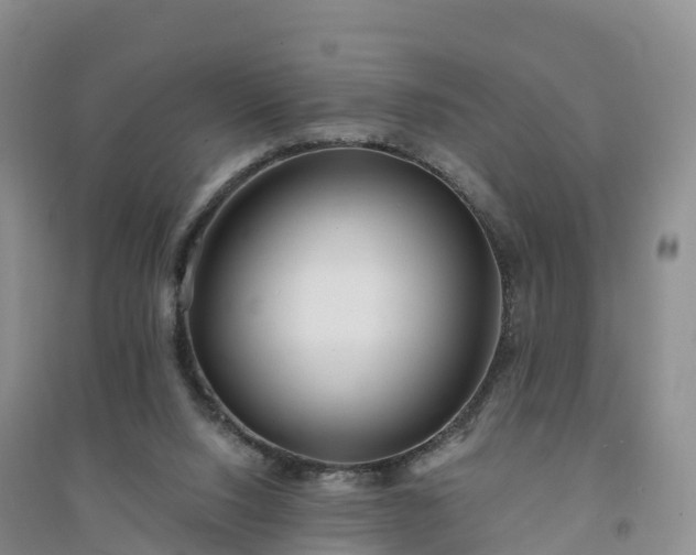 X0000094330064200711091415