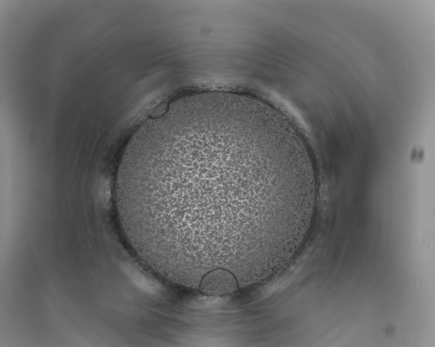 X0000094330065200711091415