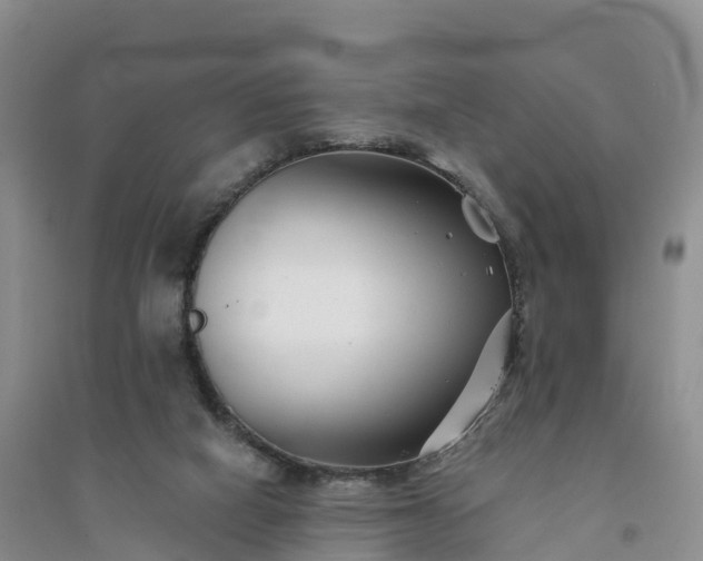 X0000094330066200711091415