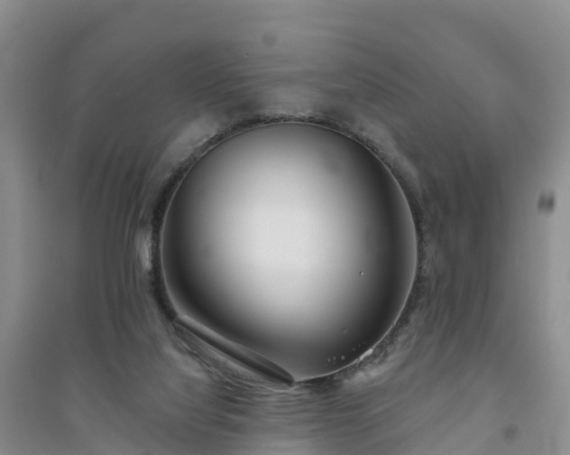 X0000094330068200711091415