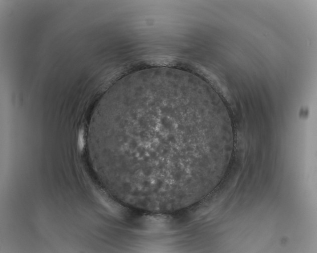 X0000094330069200711091415