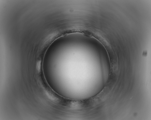 X0000094330070200711091415