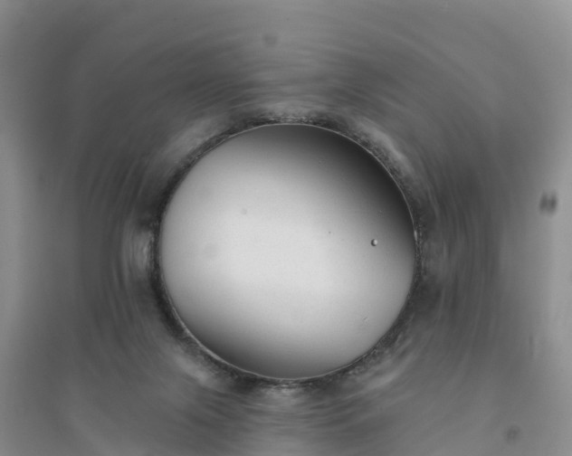 X0000094330071200711091415