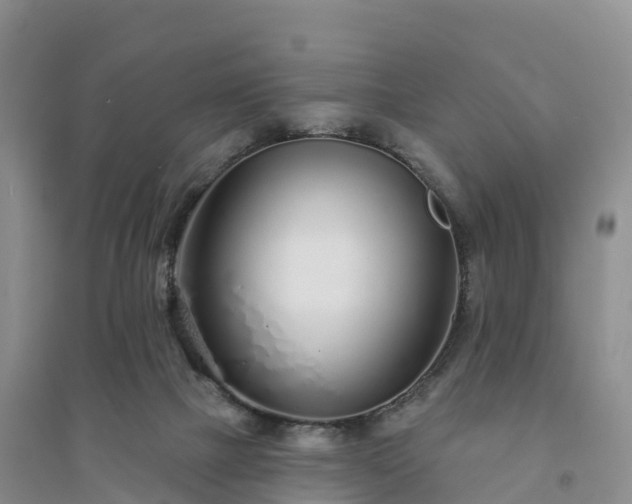 X0000094330073200711091415