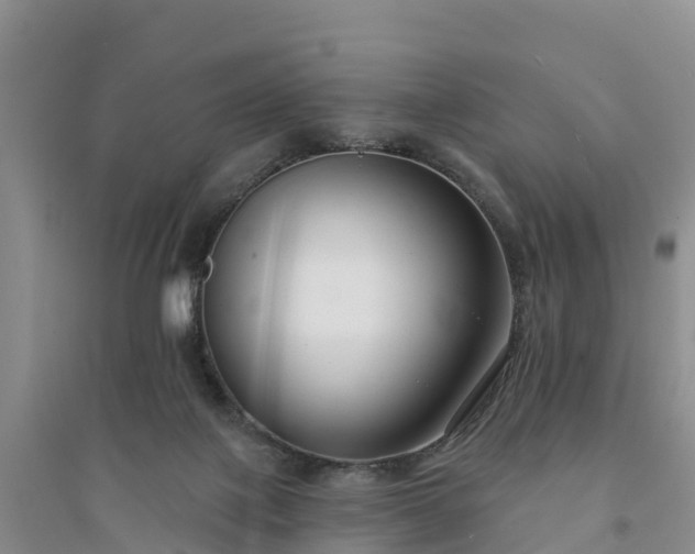 X0000094330075200711091415