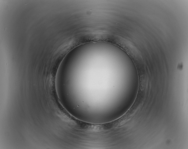 X0000094330077200711091415