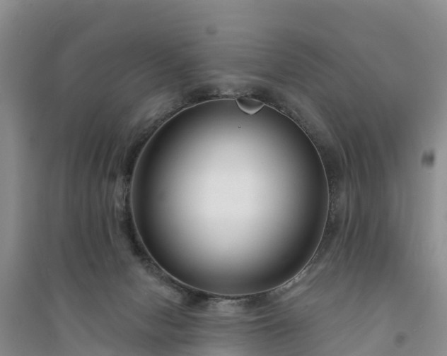 X0000094330078200711091415