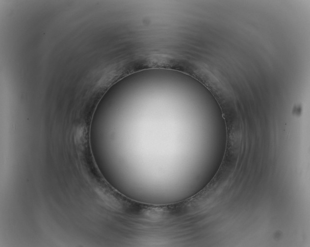 X0000094330079200711091415