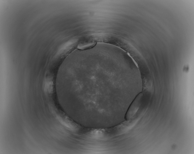 X0000094330080200711091415