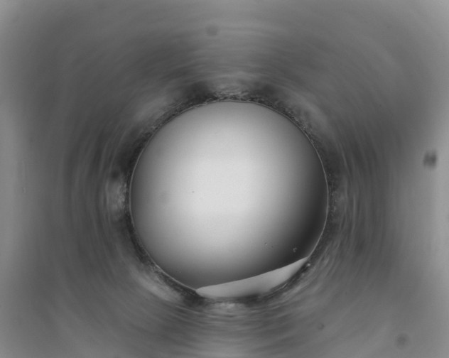X0000094330081200711091415
