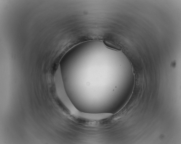 X0000094330084200711091415