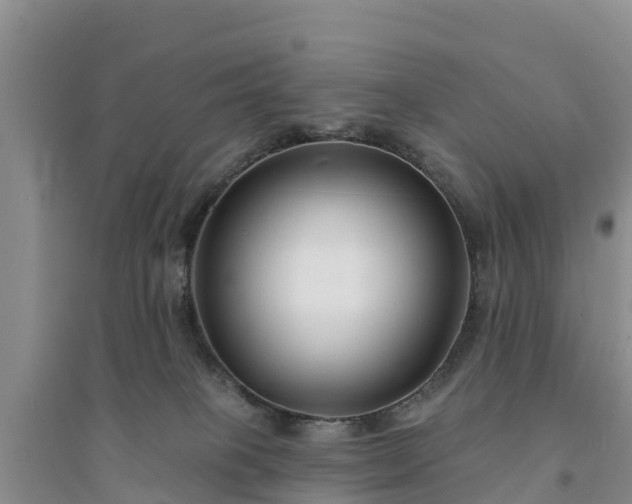 X0000094330085200711091415